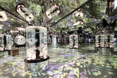 Christie Solutions Immerse Visitors at Xpark Aquarium