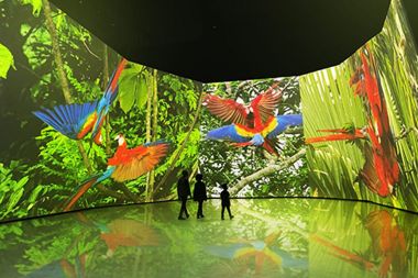 Sir David Attenborough to voice 360° BBC Earth Experience