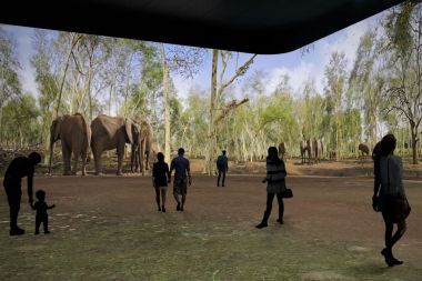 Panasonic signs huge immersive projection deal